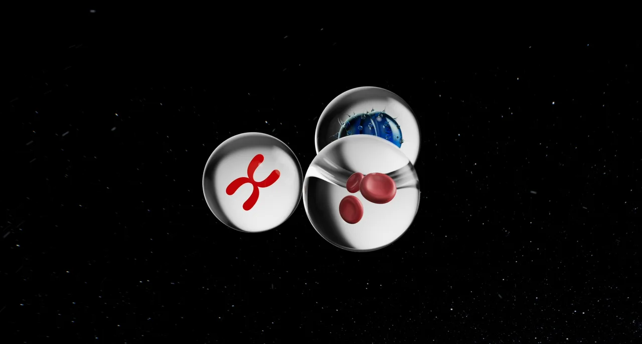 Three glass orbs floating in space, containing the Seegene logo, a spiked blue pathogen, and red blood cells