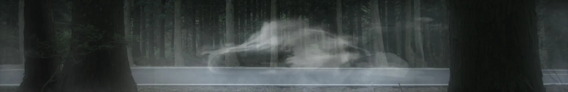 Ghostly, car-shaped mass of drifting smoke or mist hovering above a wet forest road at night, flanked by dark pine trees