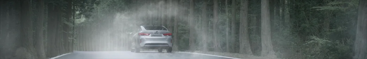 White sedan driving away down a misty forest road, backlit by rays of light through the trees