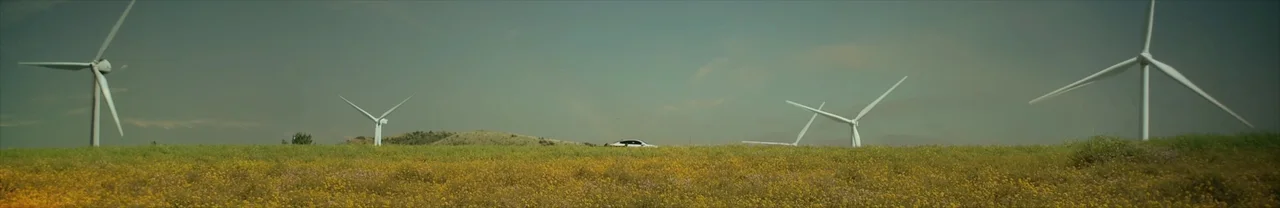 Field of yellow wildflowers with large wind turbines and a small white car in the distance