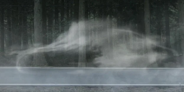 Ghostly, car-shaped mass of drifting smoke or mist hovering above a wet forest road at night, flanked by dark pine trees