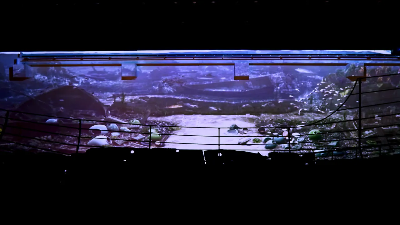 Wide angled screen showing an underwater seabed scene above a darkened viewing platform